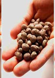 Pea mineral pumice پوکه معدنی نخودی قروه